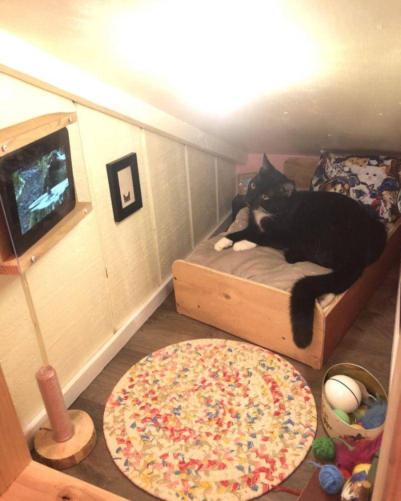 reddit.com/user/Bry_in_the_sky